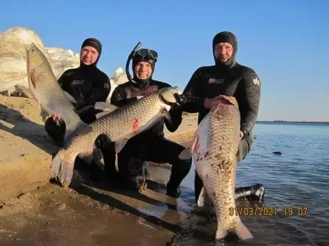 Как выбрать гидрокостюм для подводной охоты в Беларуси